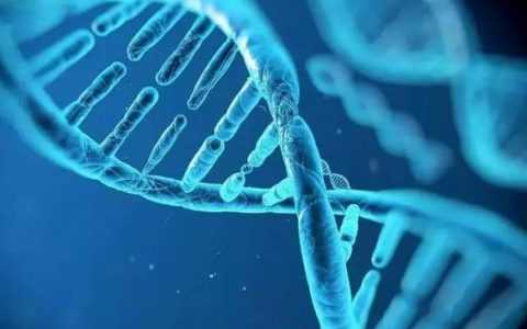 子宫纵膈能生孩子吗？广州三代试管助孕方案权威解析