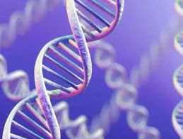 移植之后不着床怎么办？供卵三代试管与代生代怀方案解析