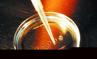 52岁供卵试管全过程详解：高龄女性生育的完整指南