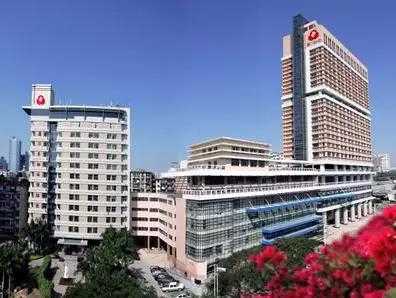 女多囊男弱精试管概率有多大？从男性视角解析备孕关键