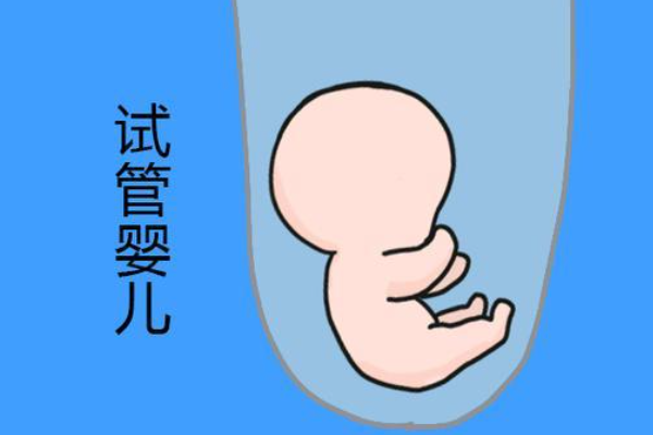反复移植失败怎么调理才能成功？从内膜到免疫的全方位科学方案