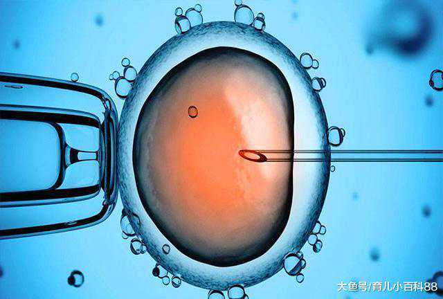 移植2次不着床原因解析：代生代怀与供卵三代试管的选择